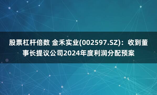 股票杠杆倍数 金禾实业(002597.SZ)：收到董事长提议公司2024年度利润分配预案