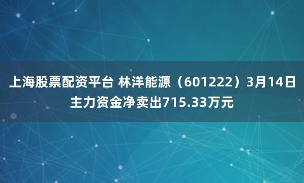上海股票配资平台 林洋能源（601222）3月14日主力资金净卖出715.33万元