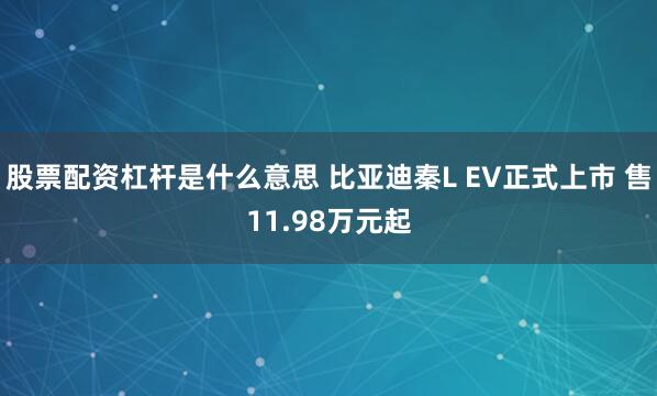 股票配资杠杆是什么意思 比亚迪秦L EV正式上市 售11.98万元起