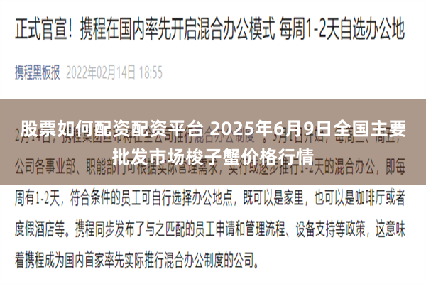 股票如何配资配资平台 2025年6月9日全国主要批发市场梭子蟹价格行情