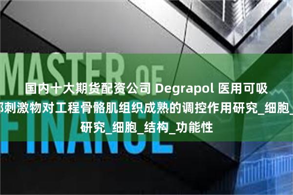 国内十大期货配资公司 Degrapol 医用可吸收聚氨酯外部刺激物对工程骨骼肌组织成熟的调控作用研究_细胞_结构_功能性