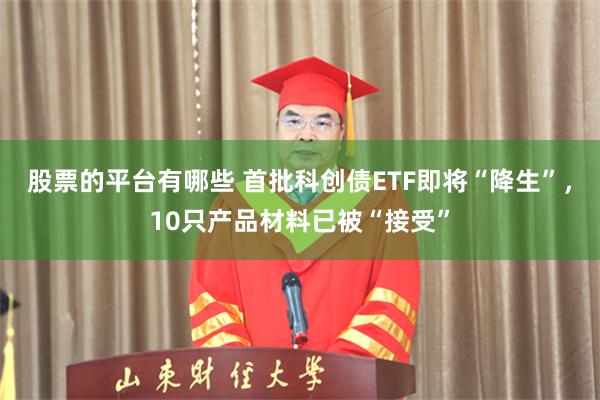 股票的平台有哪些 首批科创债ETF即将“降生”，10只产品材料已被“接受”
